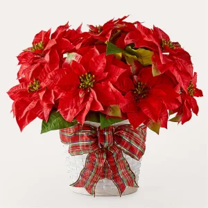 Happiest Holidays Poinsettia