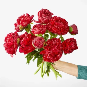 Red Velvet Peony Bouquet
