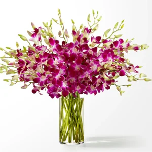 Positively Purple Orchid Bouquet